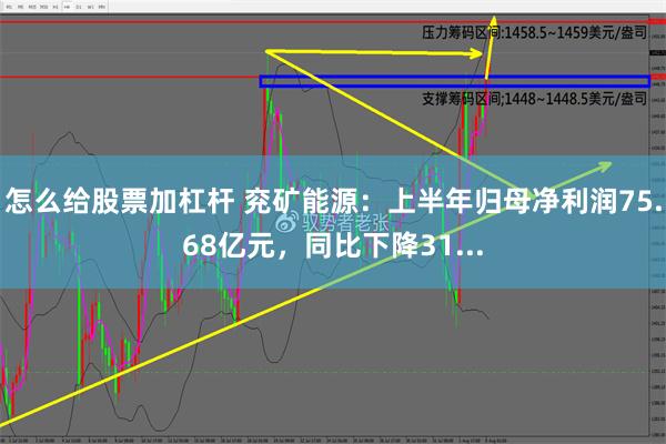 怎么给股票加杠杆 兖矿能源：上半年归母净利润75.68亿元，同比下降31...