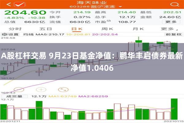 A股杠杆交易 9月23日基金净值：鹏华丰启债券最新净值1.0406