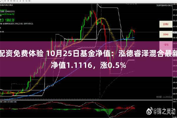 配资免费体验 10月25日基金净值：泓德睿泽混合最新净值1.1116，涨0.5%