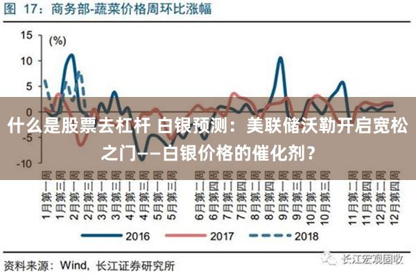 什么是股票去杠杆 白银预测：美联储沃勒开启宽松之门——白银价格的催化剂？