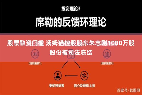 股票融资门槛 汤姆猫控股股东朱志刚1000万股股份被司法冻结